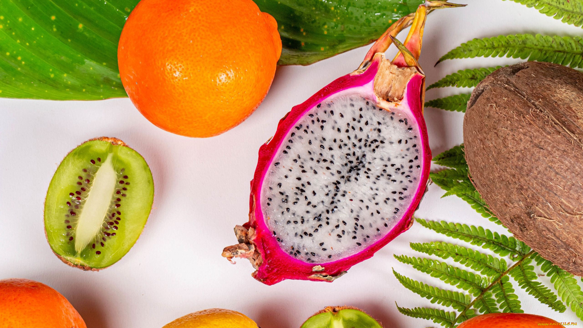 еда, фрукты, , ягоды, кокос, киви, апельсин, питахайя