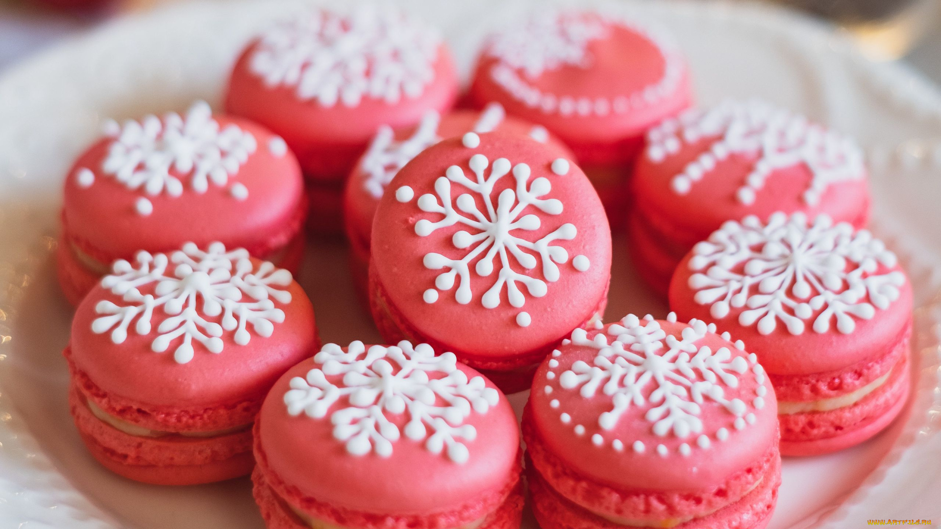 еда, макаруны, лакомство, печенье