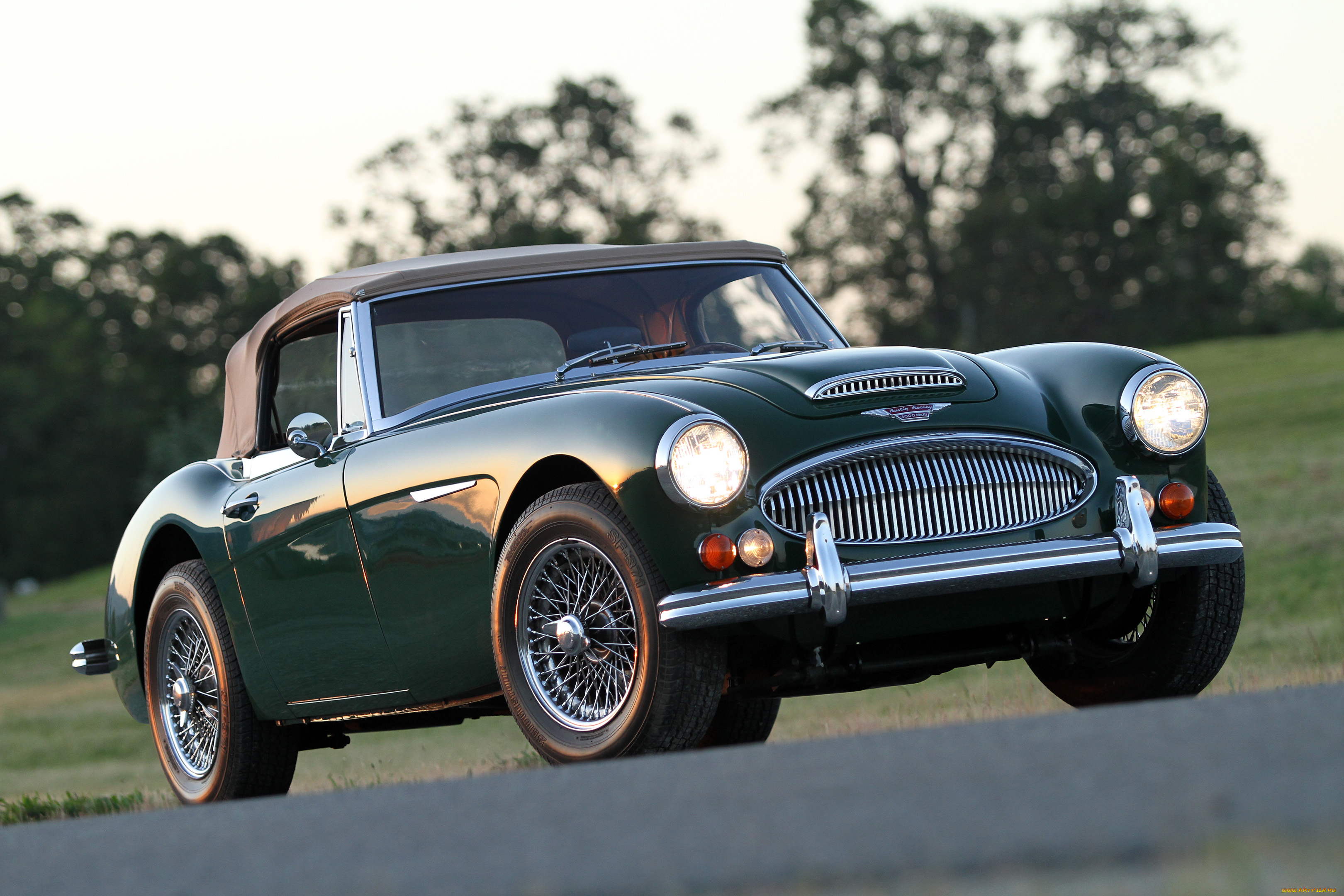 автомобили, austin, austin-healy, austin-healey
