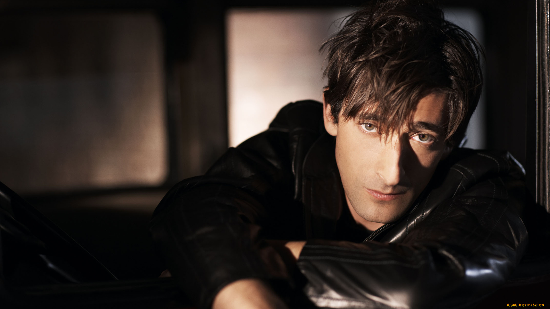 мужчины, adrien, brody, актер, лицо, куртка