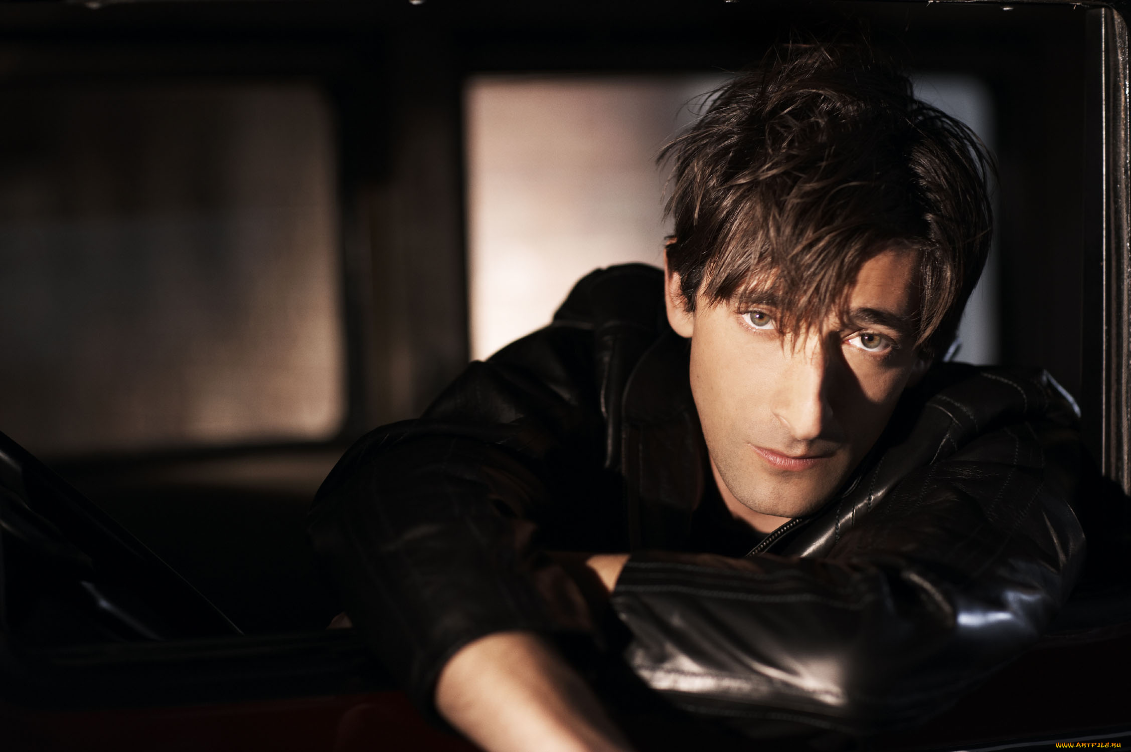 мужчины, adrien, brody, актер, лицо, куртка