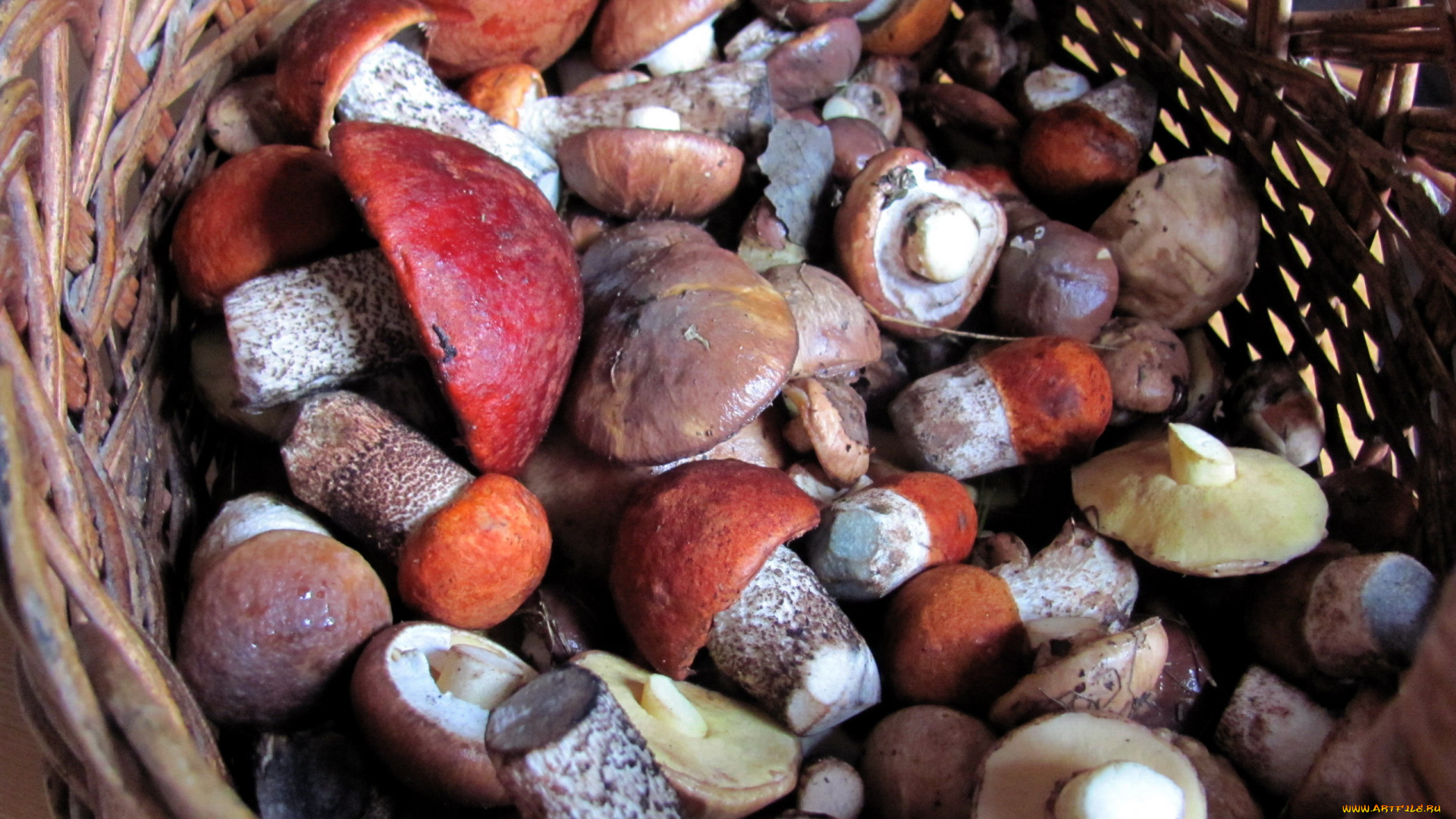 еда, грибы, , грибные, блюда, свежие, лесные, маслята, подосиновики