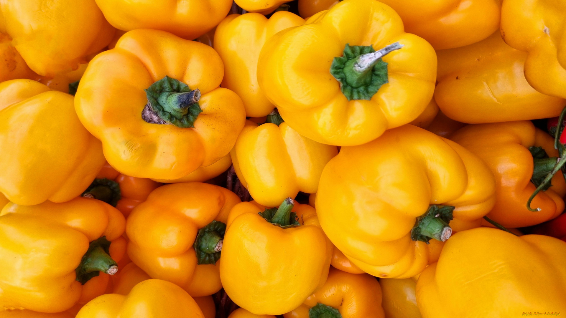 еда, перец, желтый, болгарский