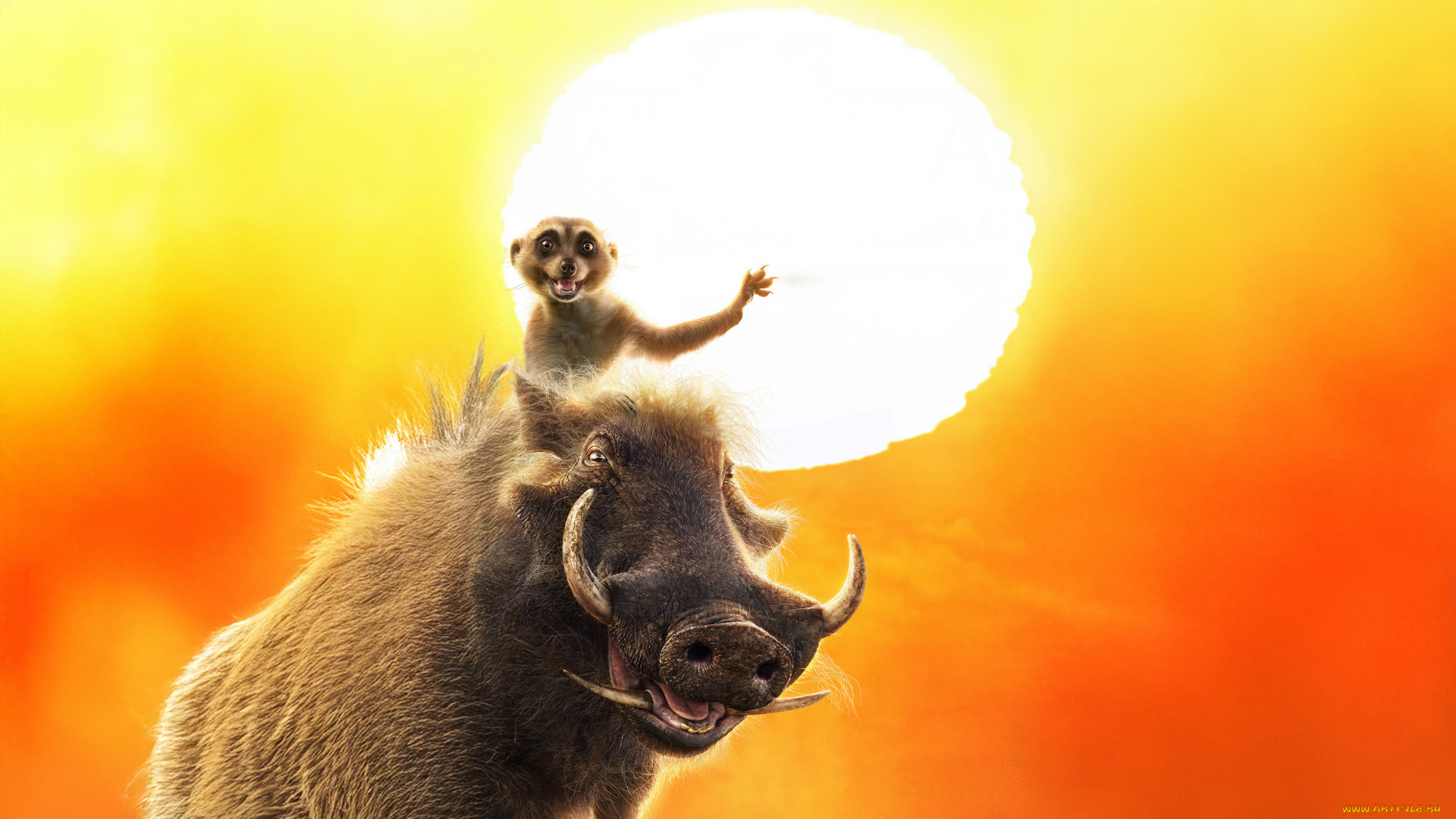 mufasa, , the, lion, king, , , 2024, , мультфильмы, , the, lion, king, timon, pumbaa, the, lion, king, пoстeр, мультфильм, мюзикл, приключения, семейный
