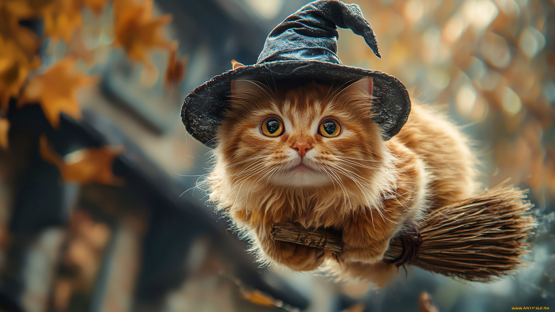 праздничные, хэллоуин, кот, кошка