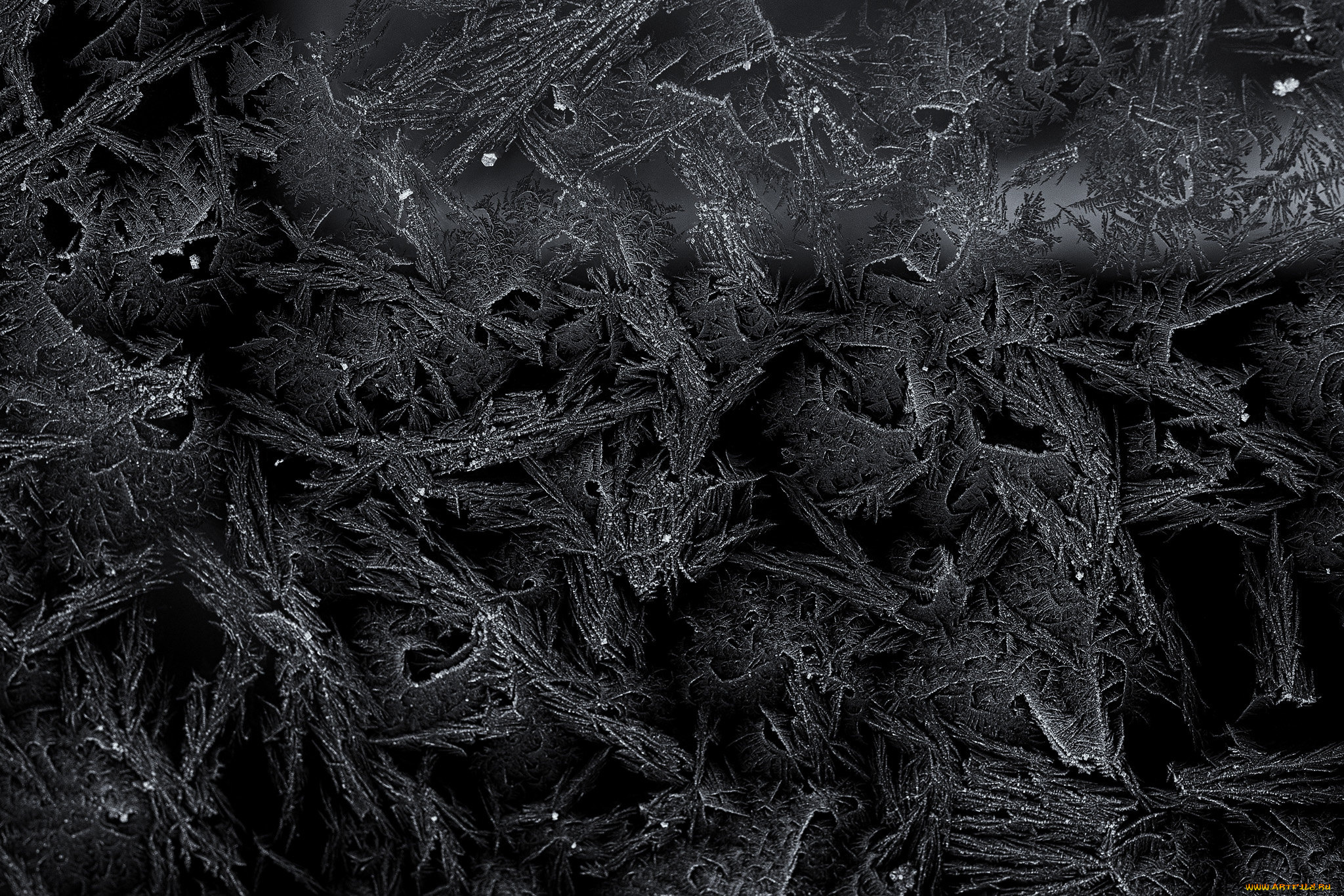 разное, компьютерный, дизайн, иней