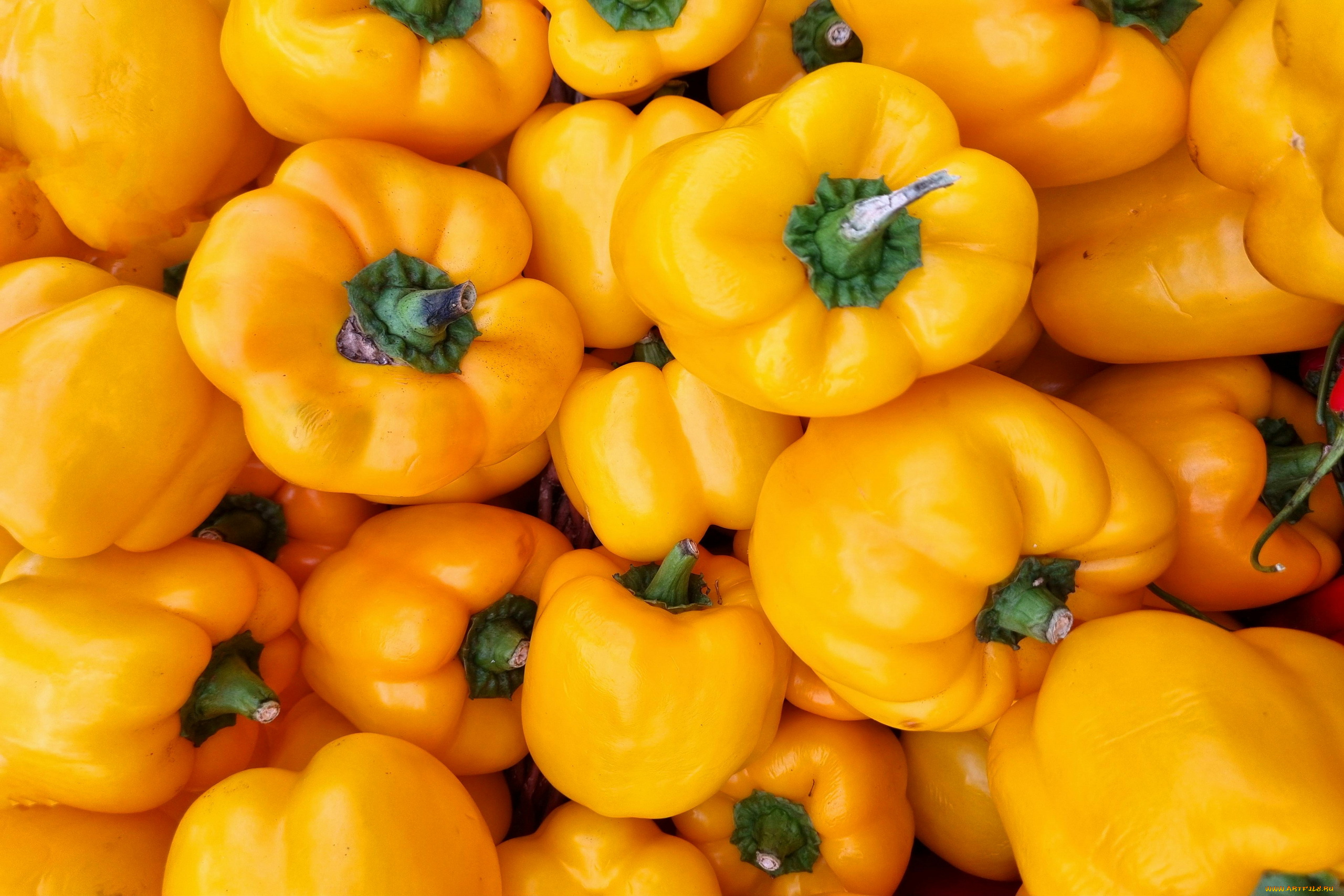 еда, перец, желтый, болгарский