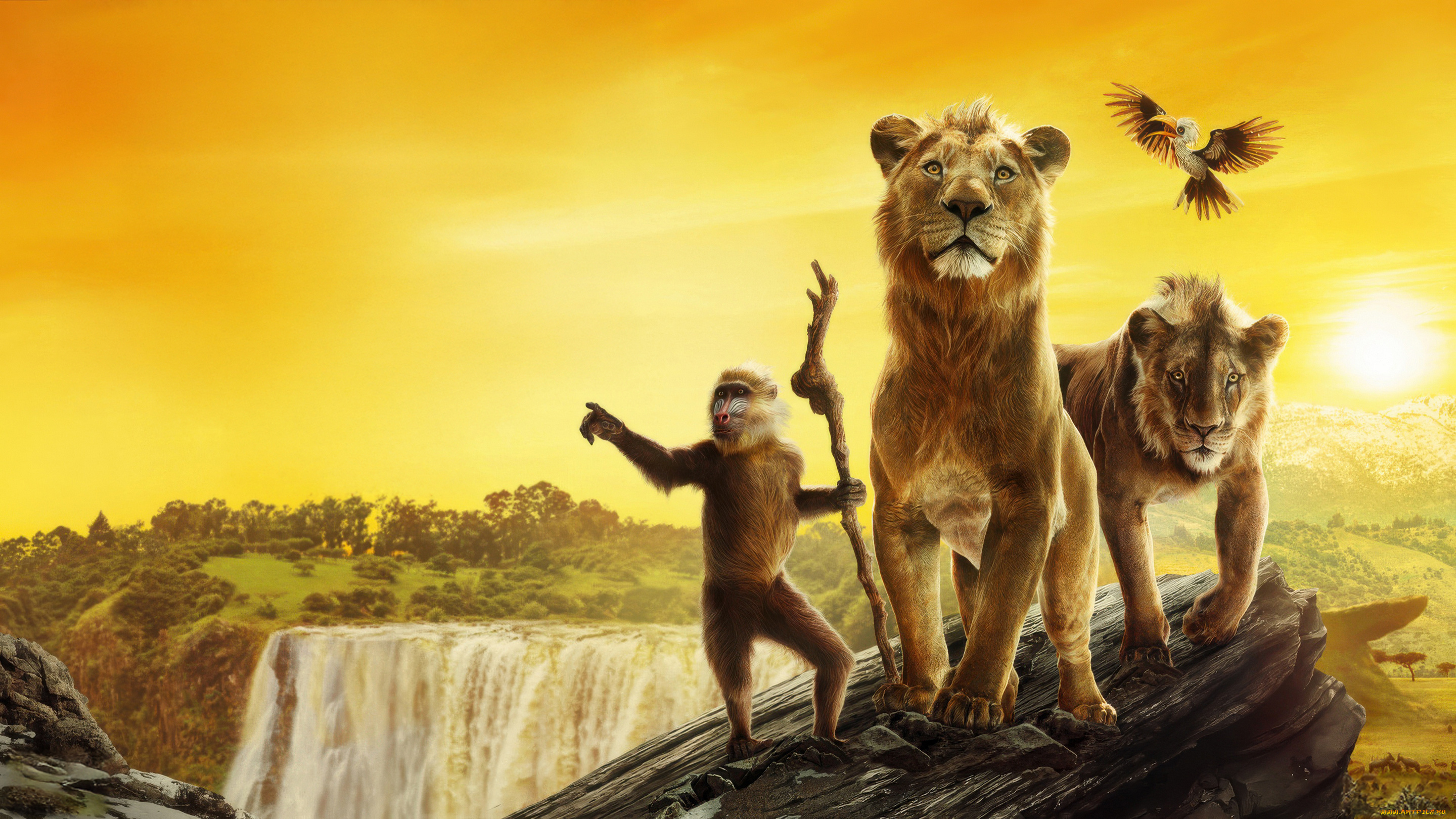 mufasa, , the, lion, king, , , 2024, , мультфильмы, , the, lion, king, the, lion, king, d, box, пoстeр, диснeй, анимация