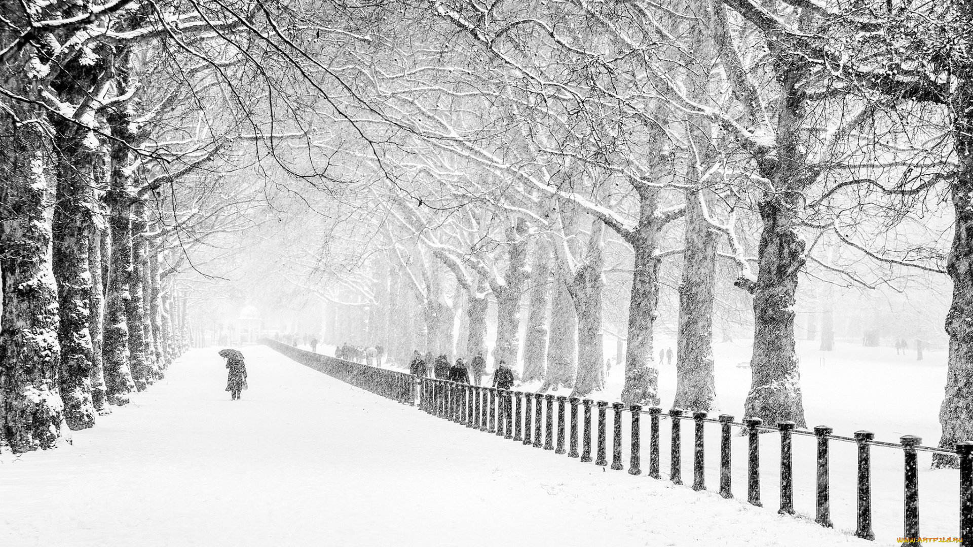 разное, люди, деревья, аллея, зима, снег, забор